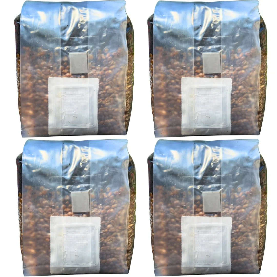 Kit de culture de champignons – Sacs de culture Magic tout-en-un – Lot de 4