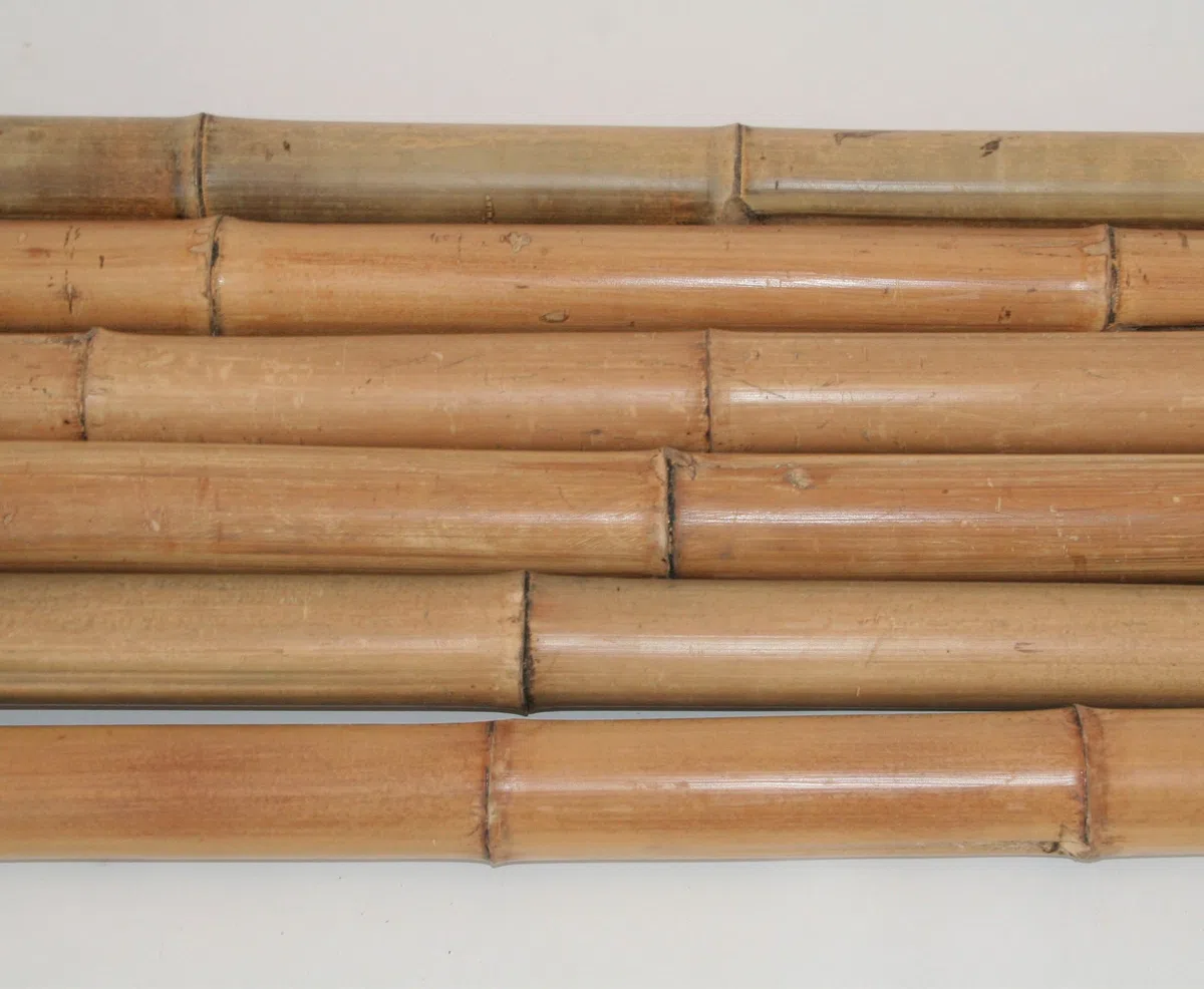 Madake Tige en bambou naturel - 180 cm de long - 8-10 cm de diamètre - Traité thermiquement - Conique - Pour projets de jardin et constructions