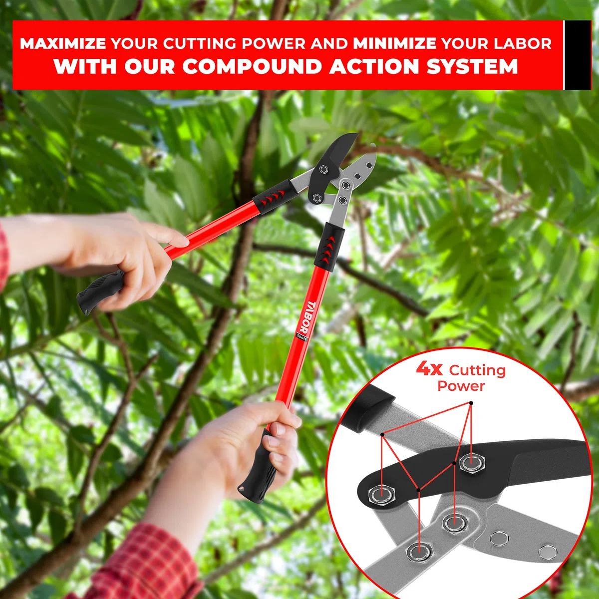 TABOR TOOLS GG12E Élagueur professionnel à enclume, coupe des branches épaisses avec facilité, coupe-arbre avec capacité de coupe de 5 cm, sécateur avec poignées à effet de levier supplémentaires