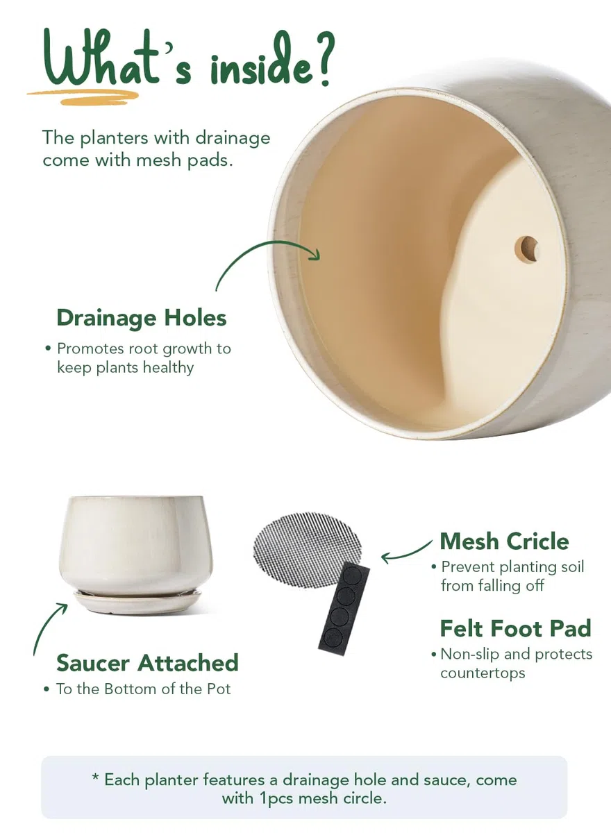 LE TAUCI Pot de Fleurs en Céramique, Pot pour Plantes 30 cm avec Trou de Drainage et Soucoupe, Pot de Fleurs d’Intérieur Durable pour Décoration Moderne de la Maison, Beige