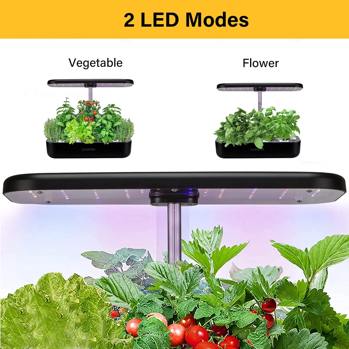 Système de culture hydroponique réglable en hauteur avec lumière LED intelligente, système de culture hydroponique Smart Control, kit de germination de grande capacité pour le jardinage domestique