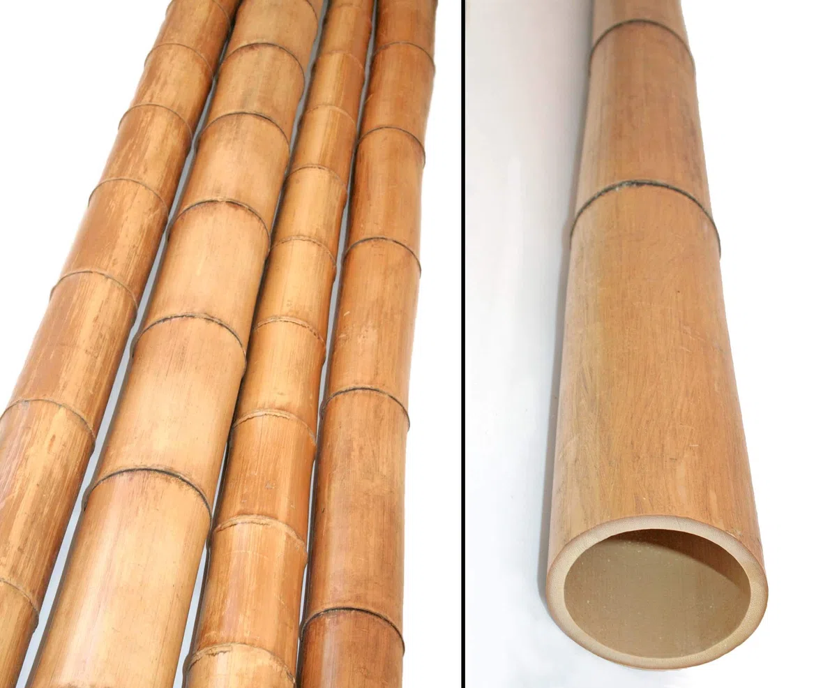 Madake Tige en bambou naturel - 180 cm de long - 8-10 cm de diamètre - Traité thermiquement - Conique - Pour projets de jardin et constructions