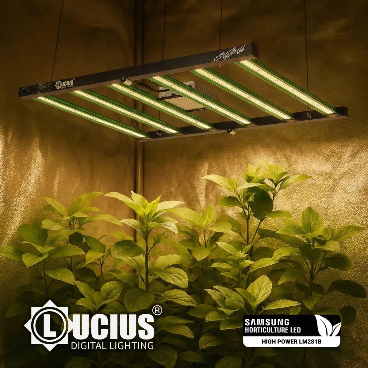 LUCIUS - Lampe LED 630W 2.9 Master Control - Culture complet Croissance/Floraison, UV IR, Fonction Crépuscule/Aube, Intensité réglable, Serres et plantes d’intérieur, légumes et fleurs