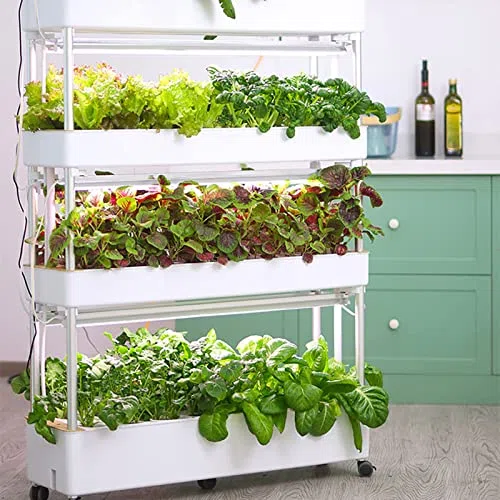 Kit de culture hydroponique à 3 niveaux avec 90 espaces de plantation pour la maison et le bureau, idéal pour la culture des légumes