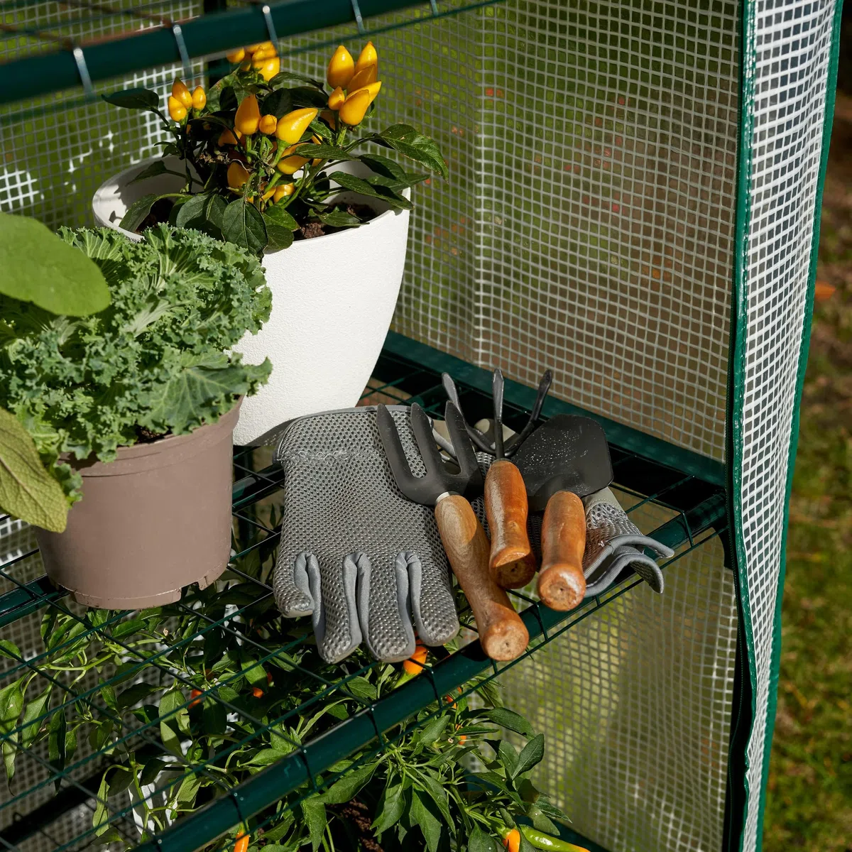 BRAMBLE Serre de Jardin pour Balcon, Intérieur & Extérieur avec 4 Étagères (10kg Poids Max par Étagère), Châssis en Acier & Bâche en PVC Renforcée Résistante - Solide & Facile à Monter - 160x69x49cm