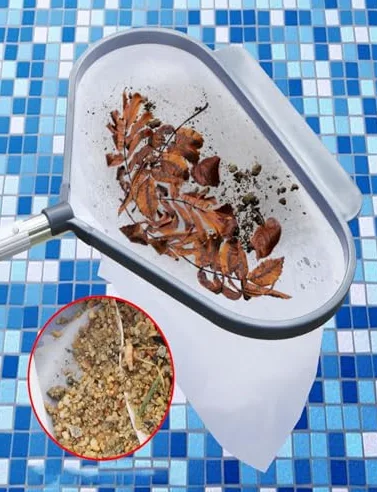 Cette épuisette de Piscine Robuste avec Manche Permet Un Nettoyage Efficace de la Piscine et l'élimination des Feuilles.