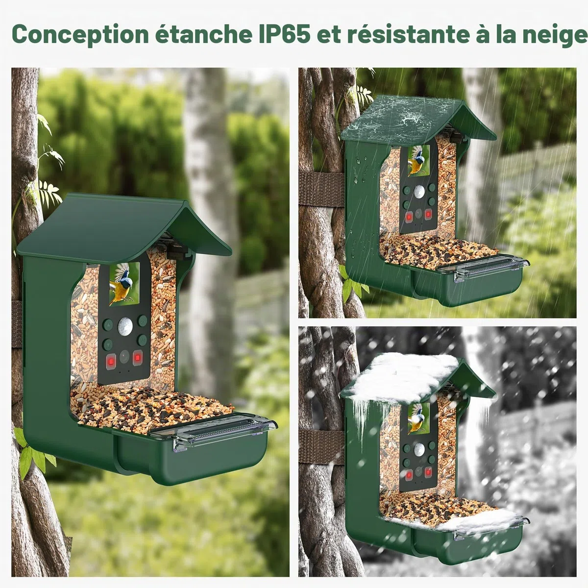 Mangeoire Oiseaux Camera, 1080P HD Vision Nocturne Mangeoire Oiseaux Exterieur Camera Intelligente Capture Automatique D’Images/Vidéos Microphone Intégré avec Mangeoire à Oiseaux Colibri