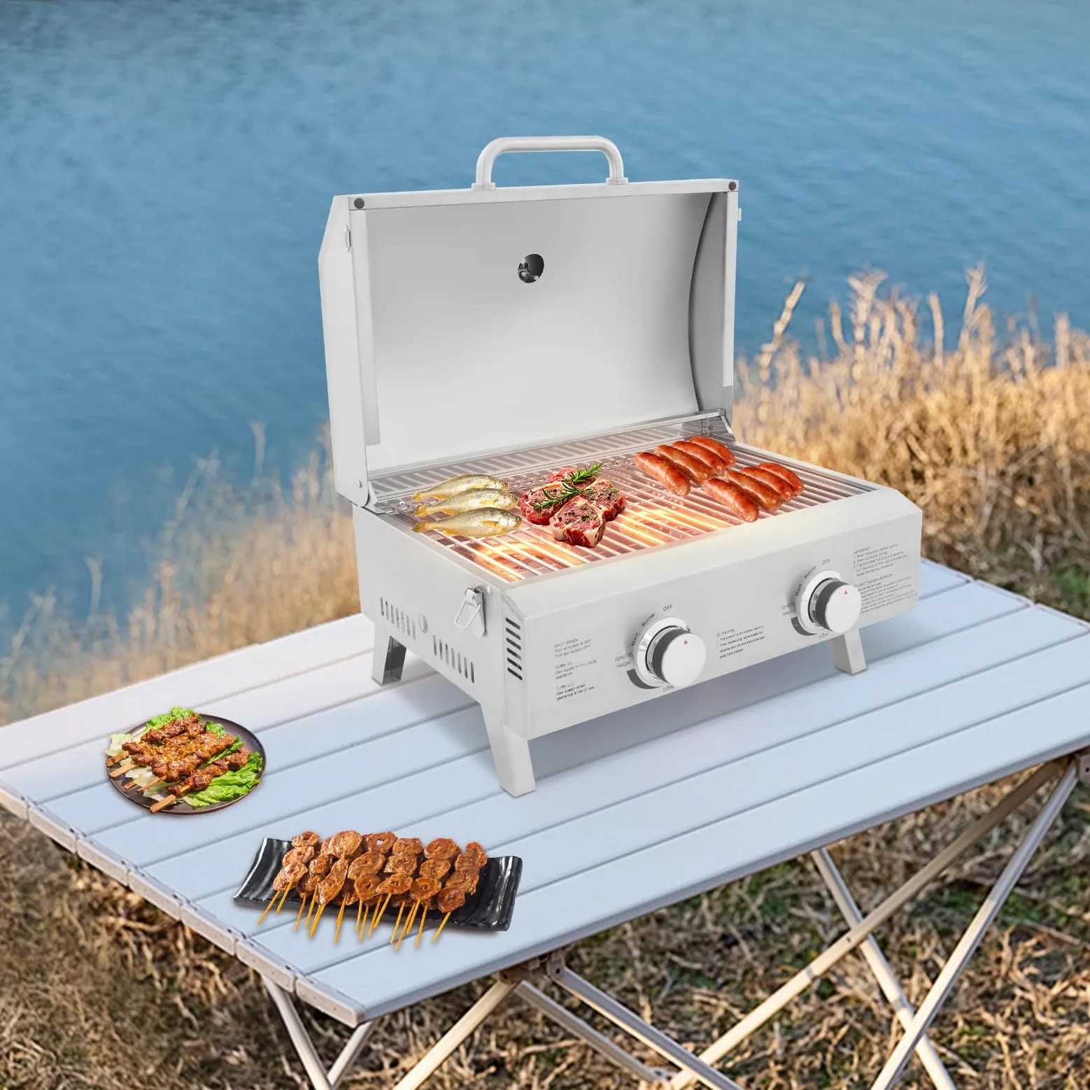 Barbecue à gaz gastro avec 2 brûleurs - En acier inoxydable - Avec couvercle - Pliable - Portable - Pour terrasse, excursions en camping-car et pique-nique