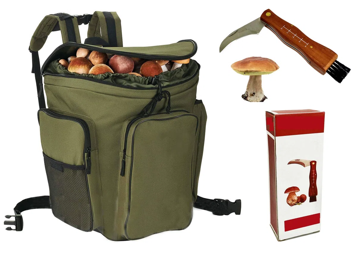Couteau + panier à dos en osier porte champignons vert gerla panier montagne cueillette champignons cm 41 x 28,5 x 38,5 h