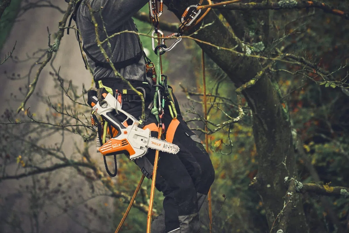Stihl Profi Élagueuse à Batterie GTA40