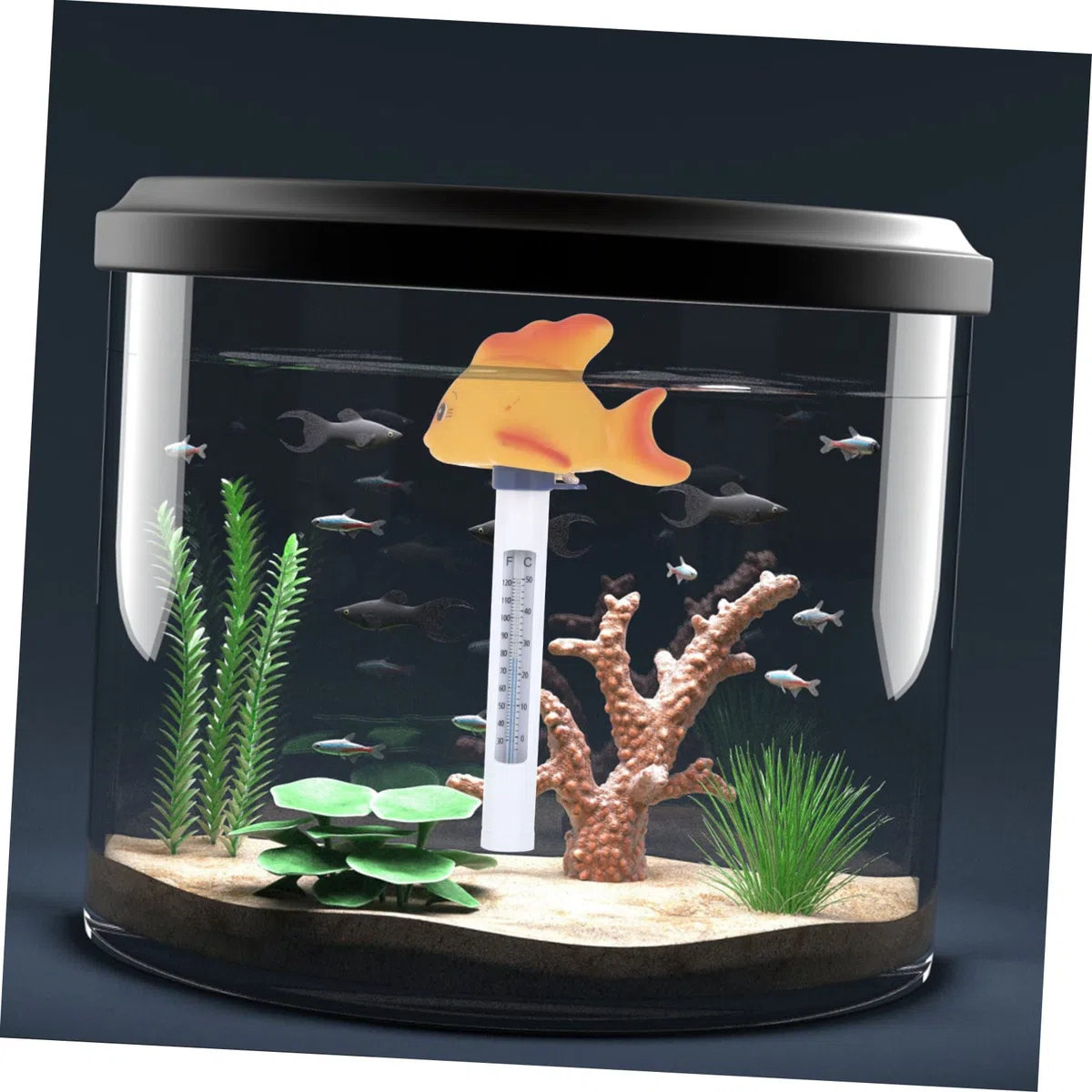 BESPORTBLE 3 Pièces Thermomètre jouet de bain étang jouets d'animaux jouets d'extérieur jouet d'extérieur avec échelle poisson rouge flotteur en plastique bassin piscine