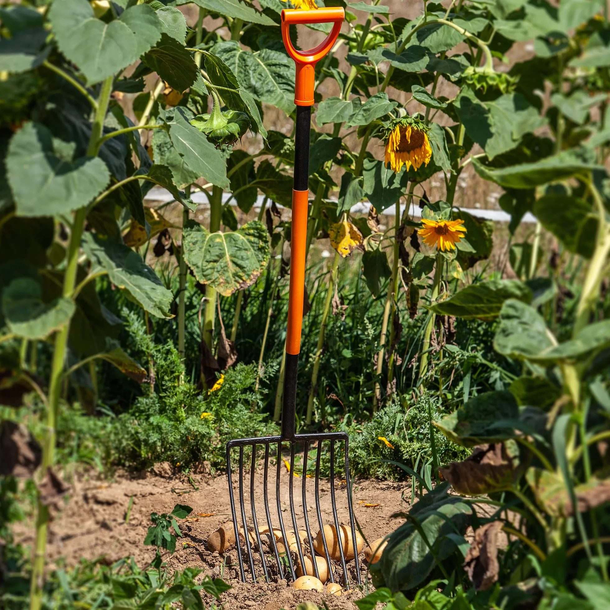 KADAX Fourche à Pommes de Terre dotée d'une Tête en Acier Trempé au Carbone et des Dents Arrondies, Outil de Jardin avec Manche Long (10 Dents)