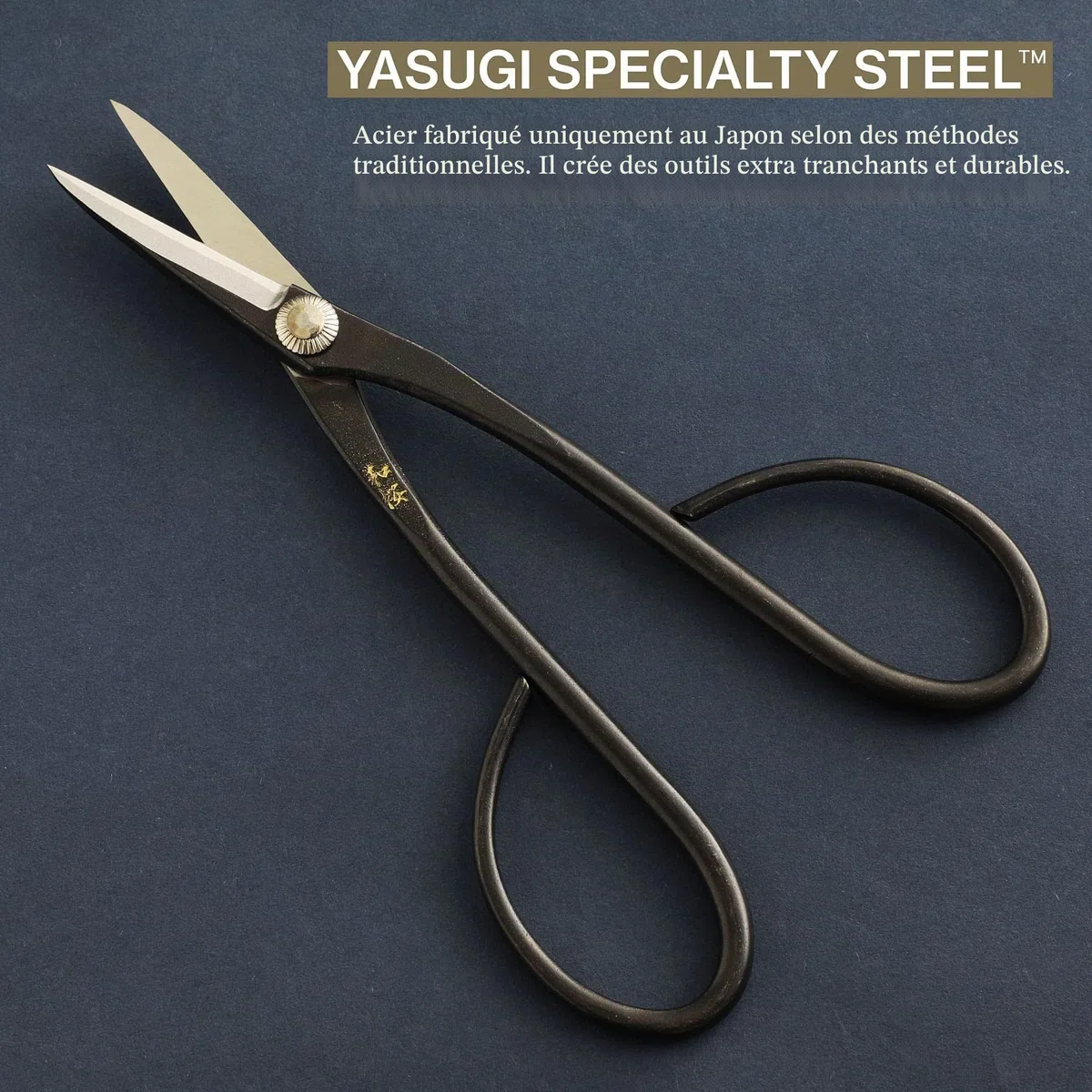 Wazakura Kit Outils Essentiels pour Bonsaï et Jardinage, Fabriqué au Japon en Acier Japonais Yasugi, Ciseaux Satsuki 180 mm, Coupe Branches 200 mm, Pince en Acier Inoxydable, Gomme à Sève