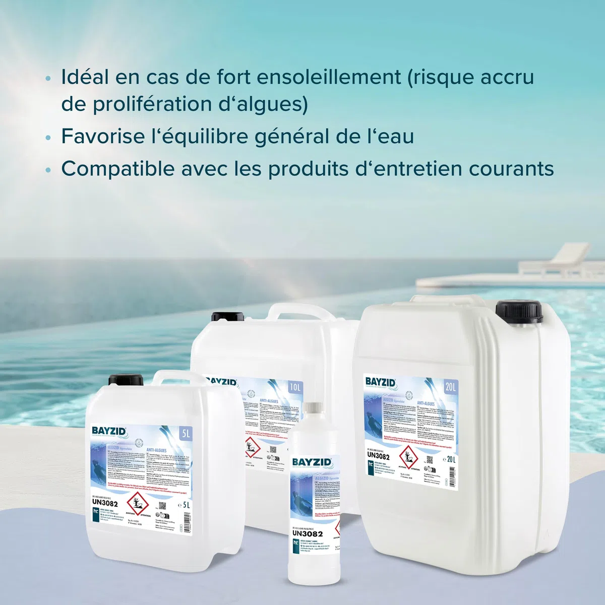 Höfer Chemie 2 x 20 L (40 litres) Algicide Anti Algue pour Piscine | Anti-Algues Non Moussant - Double Action Curative et Préventive - Efficace contre Bactéries et Champignons