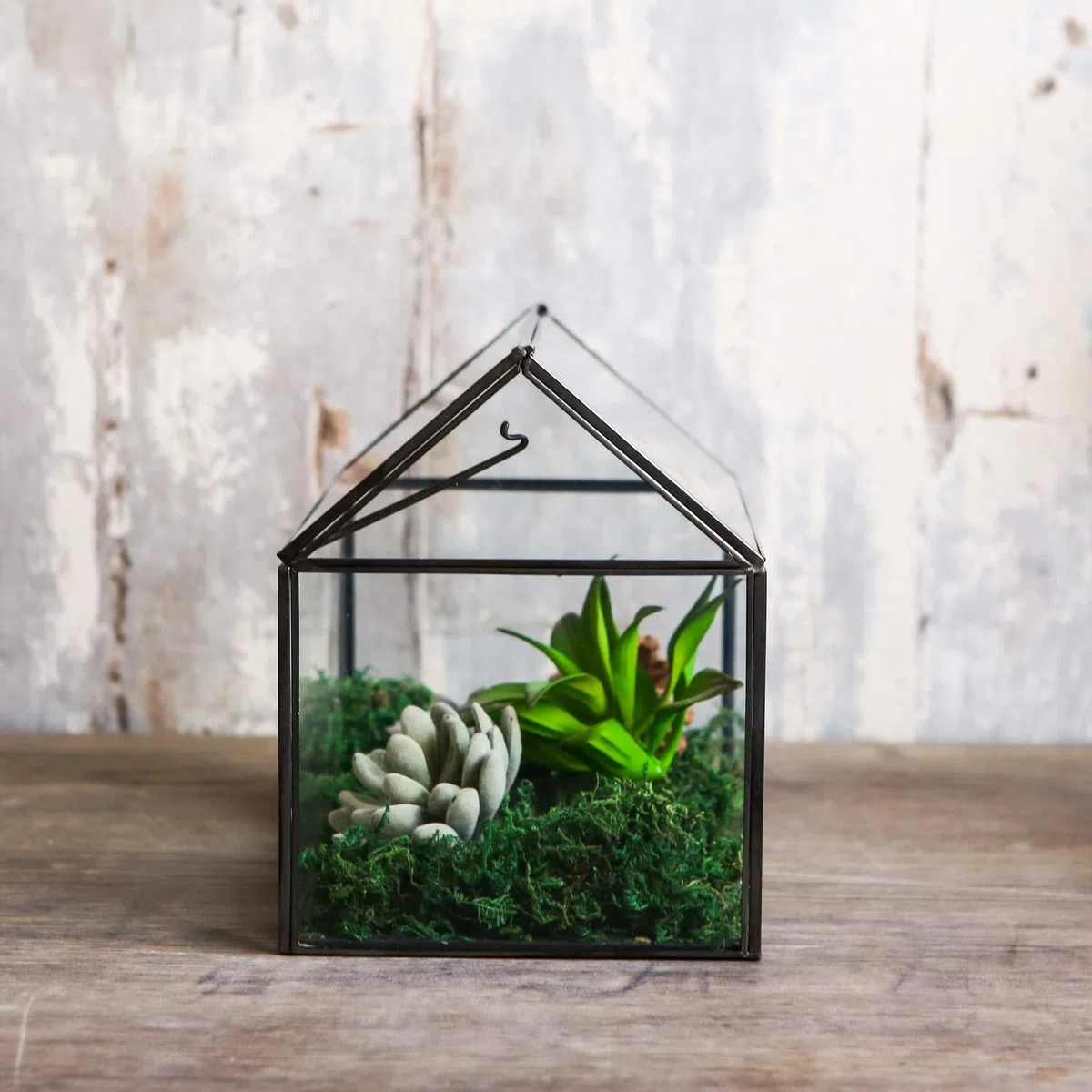 WONSUN Terrarium géométrique en Verre en Forme de Maison avec Couvercle basculant pour Plantes succulentes, Plantes Grasses, Plantes aériennes (Noir)