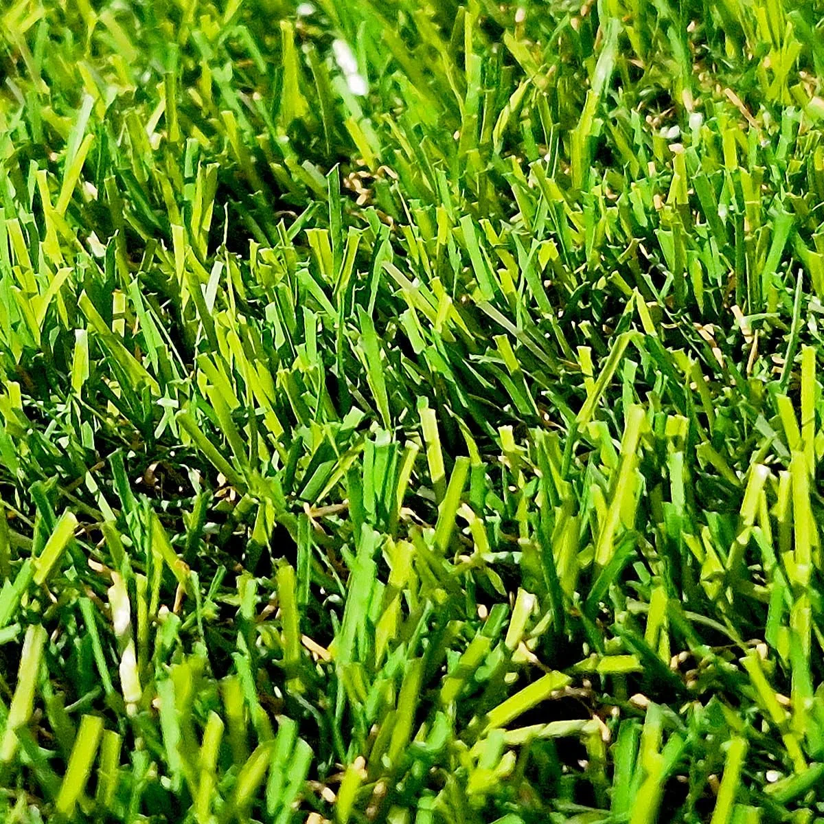 Gazon Synthétique 35mm en 2m de large (2m de large x 5m de long)