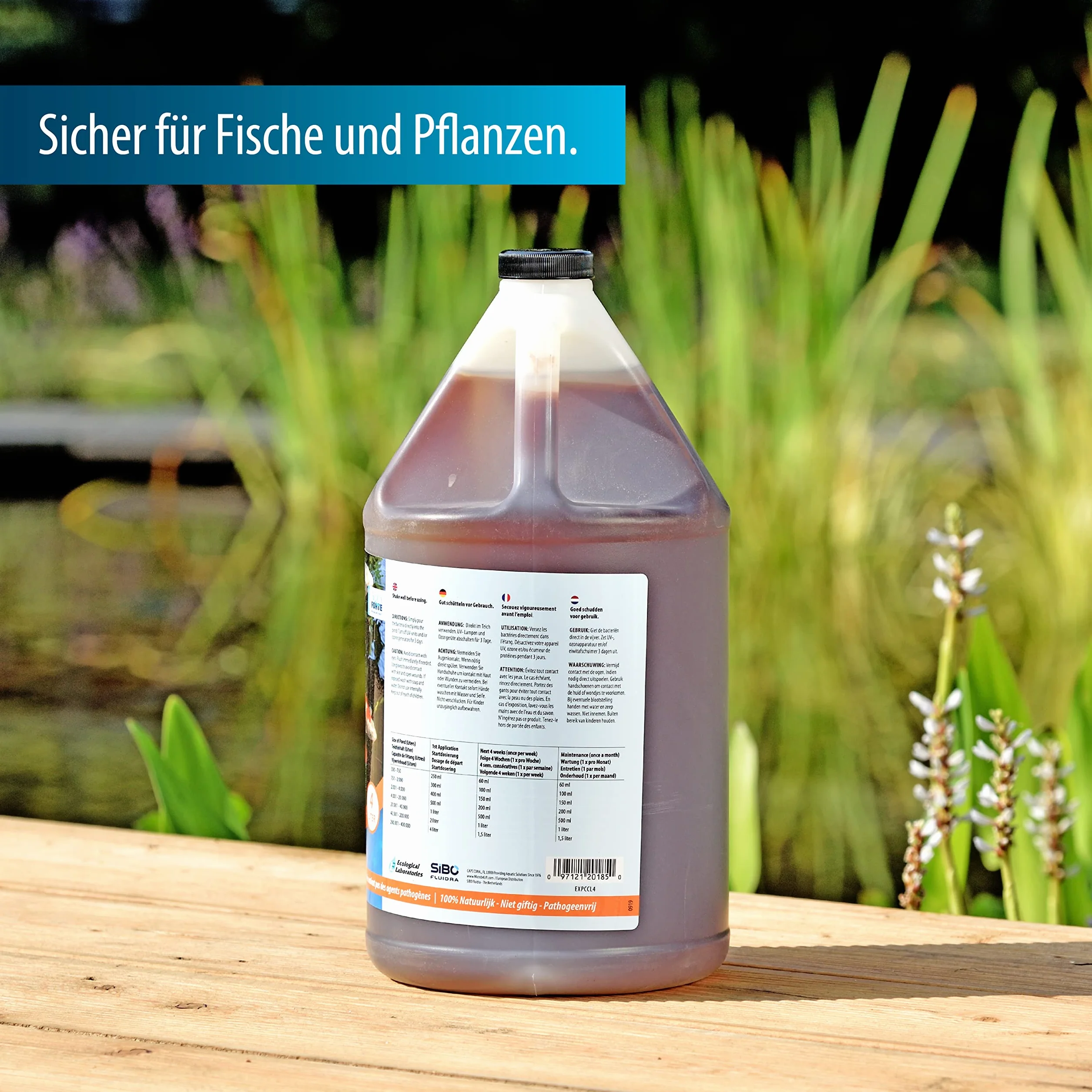 Aquaforte microbe-Lift Clean And Clear 4 L, Bassin Clair et Propre Grâce à La Lumière Du Soleil, Contre La Pollution Organique Dans Votre Bassin, 100% Naturel et Sûr pour les Poissons et les Plantes