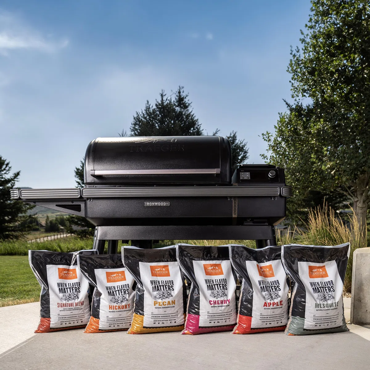 Traeger Grills Granulés de Bois de Noix de pécan 100% Naturel pour fumoirs et Grills à granulés, Barbecue, Cuisson, rôti et Grill, Sac de 8,2 kg
