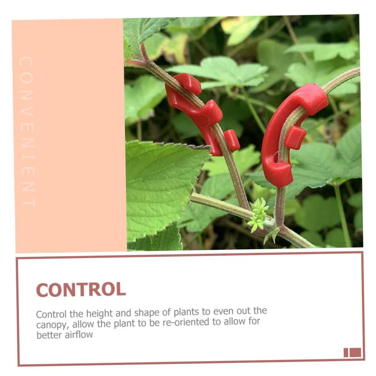 POPETPOP 300pièces Benders De Plantes Plastique à Degrés Clips De Fixation pour Branches Et De Plantes Outils De Jardinage pour Intérieur Et Extérieur