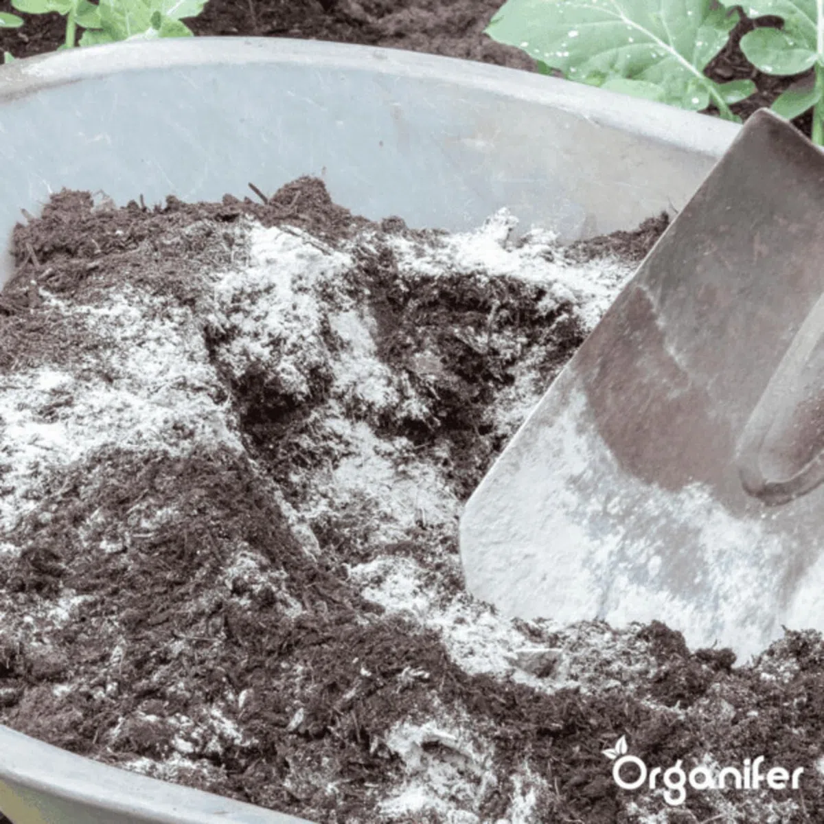 Poudre De Basalte Naturelle - 20 Kg - 200 M2 - Amendement Minéral À Base De Basalte Volcanique - Poudre De Lave Basaltique Pour Jardin Et Sols - Organifer