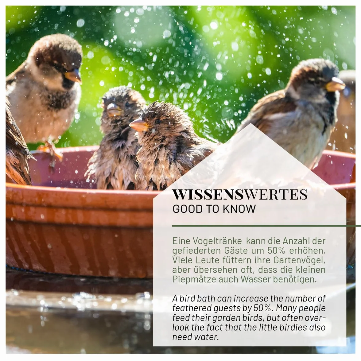 wildlife home Abreuvoir pour oiseaux debout avec pied I Distributeur de nourriture pour oiseaux en fonte résistant au gel pour jardin et balcon I Bain d'oiseaux I Mangeoire pour oiseaux sauvages