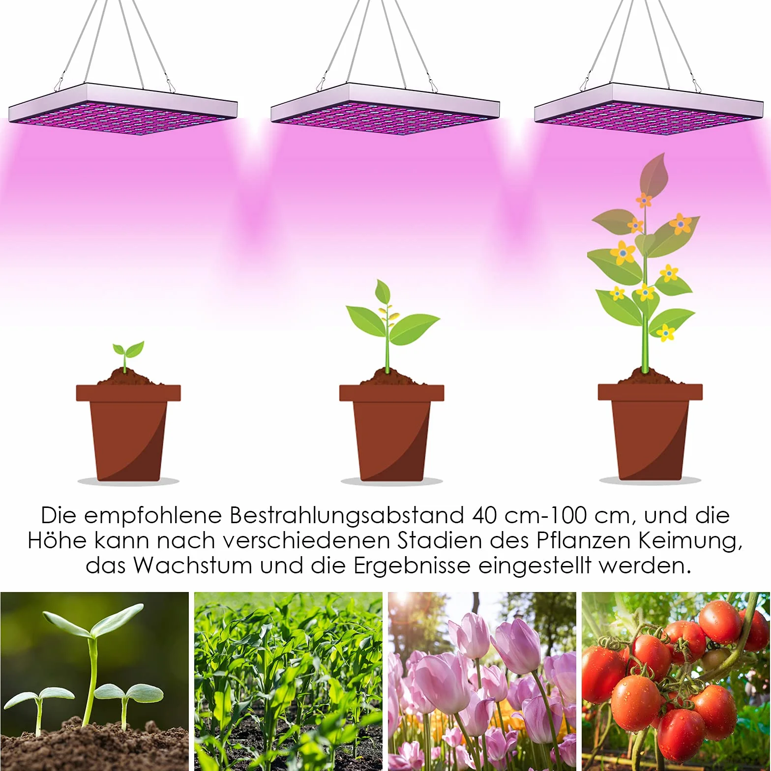 Randaco 2pcs 45W LED Grow Lightà Lampe de Plante Spectre Complet, Lampe Horticole avec 225LEDs Lumière Rouge et Bleue, Lampe de Plante pour Intérieur Hydroponique Germination