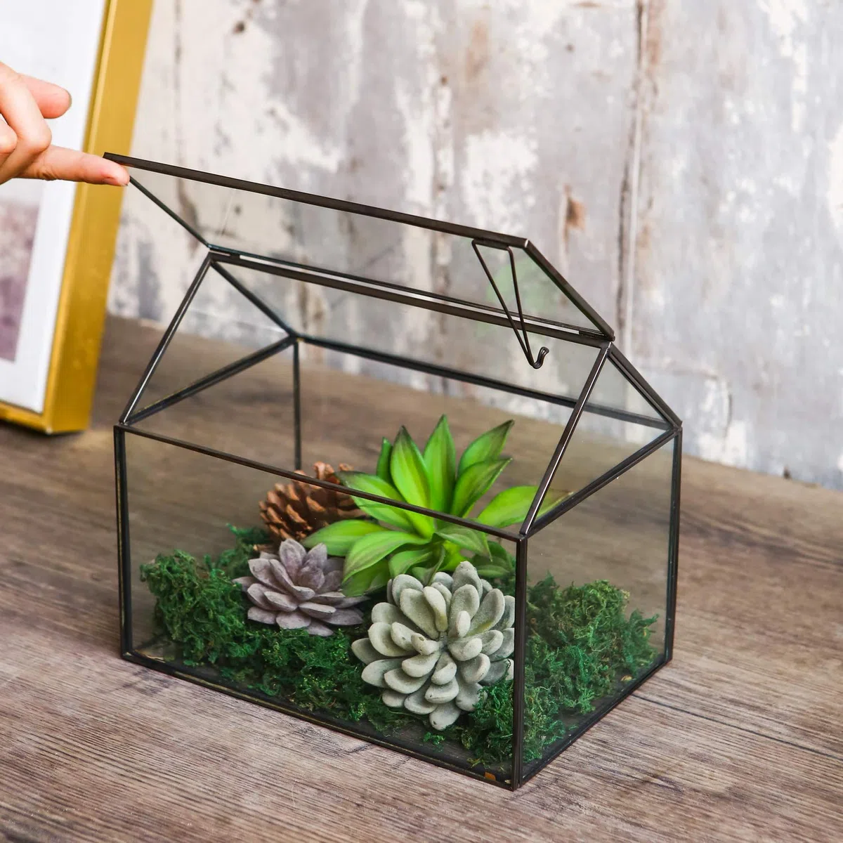 WONSUN Terrarium géométrique en Verre en Forme de Maison avec Couvercle basculant pour Plantes succulentes, Plantes Grasses, Plantes aériennes (Noir)