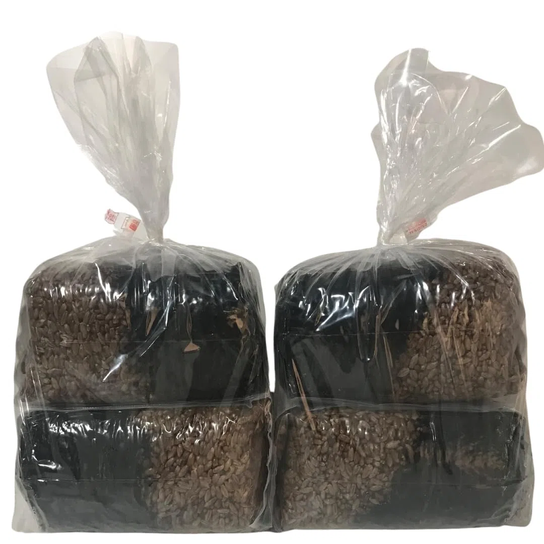 Kit de culture de champignons – Sacs de culture Magic tout-en-un – Lot de 4