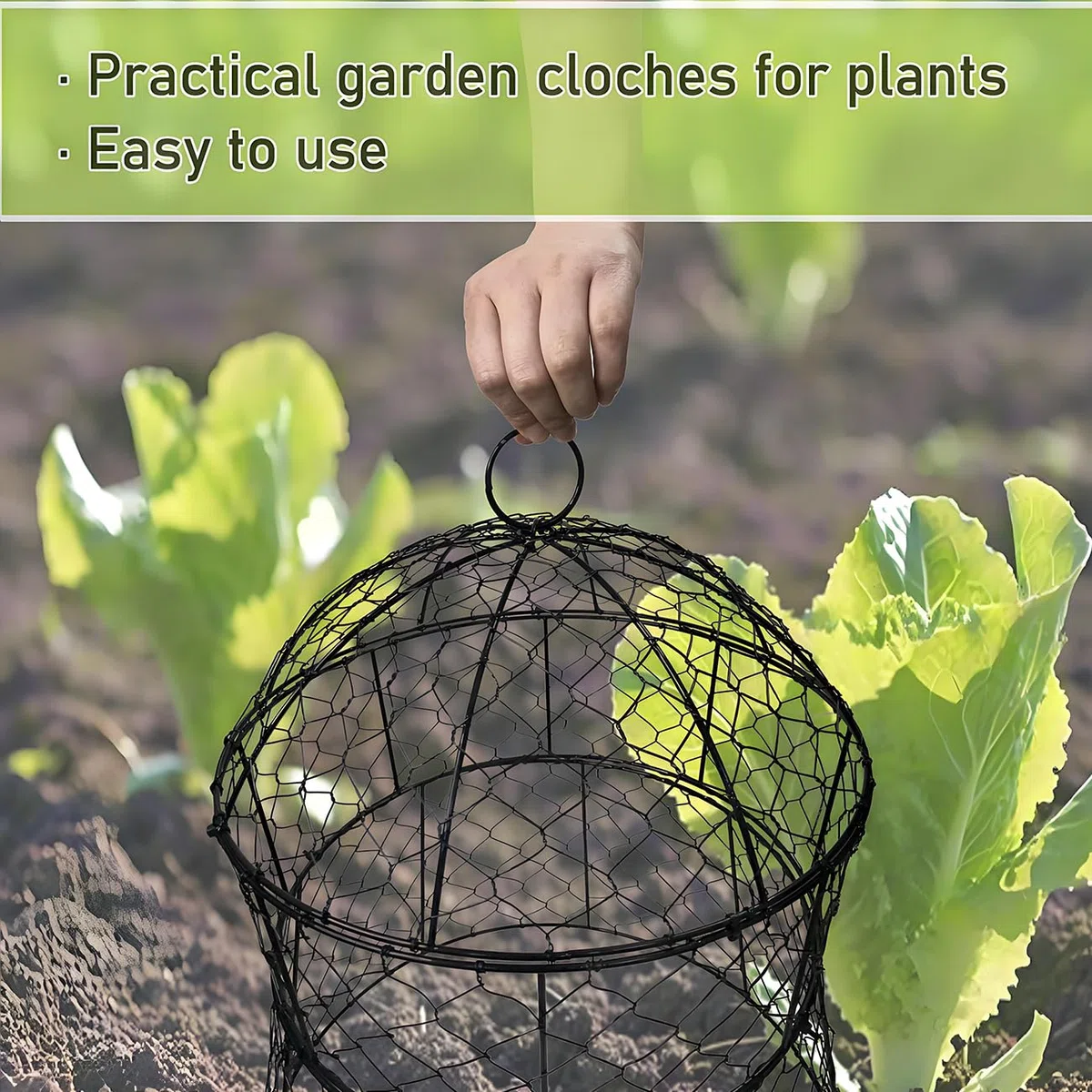 Lot de 6 cloches de jardin en métal pour plantes contre les animaux, cloches en fil de poulet, cages à plantes mises à jour pour plantes d'extérieur, légumes, semis, 33 x 35,6 cm