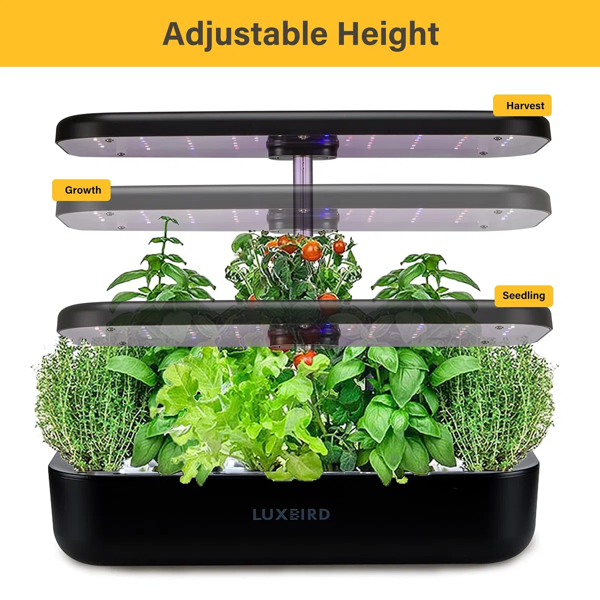 Système de culture hydroponique réglable en hauteur avec lumière LED intelligente, système de culture hydroponique Smart Control, kit de germination de grande capacité pour le jardinage domestique