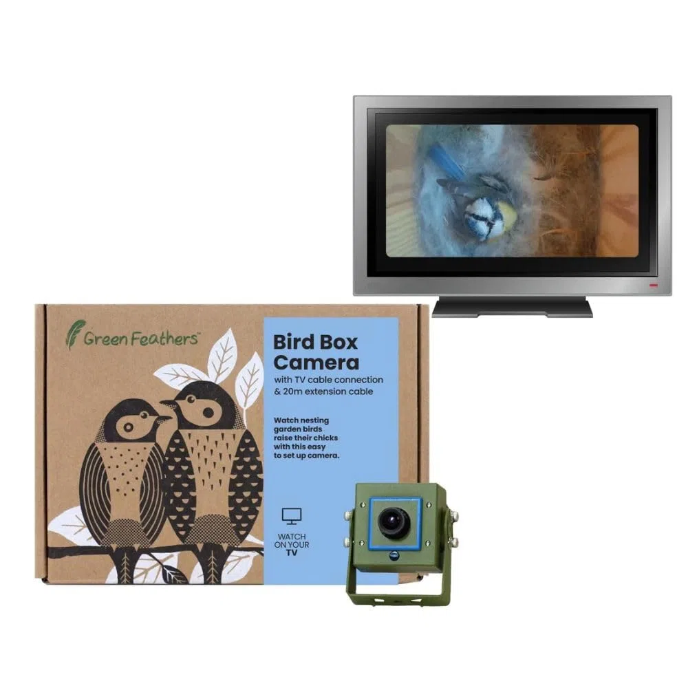 Green Feathers Kit caméra pour Oiseaux