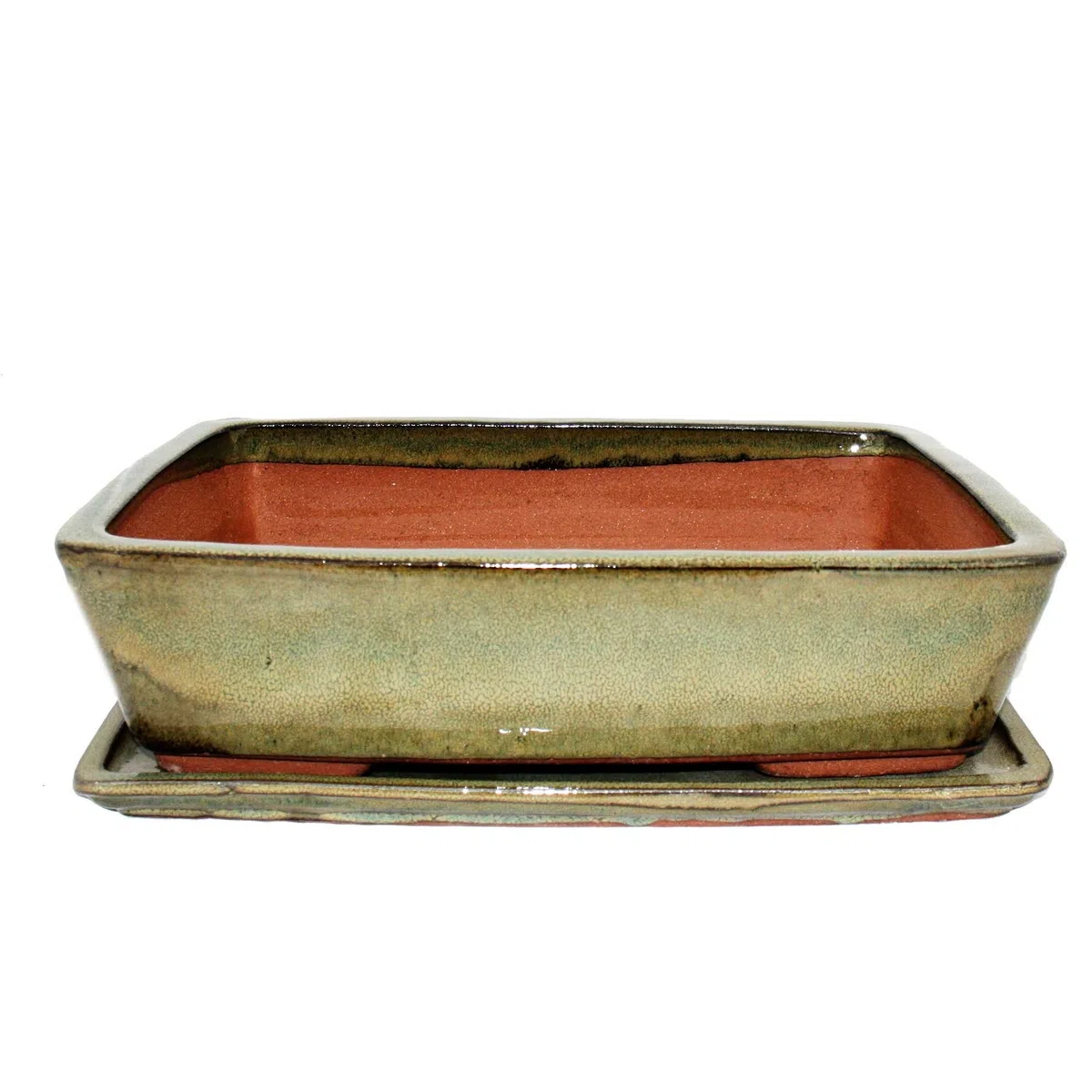 bonsaï Bol avec soucoupe gr. 5 – Rectangulaire G30 – Olive-brown – L 32 cm – L 24,5 cm – H 8 cm
