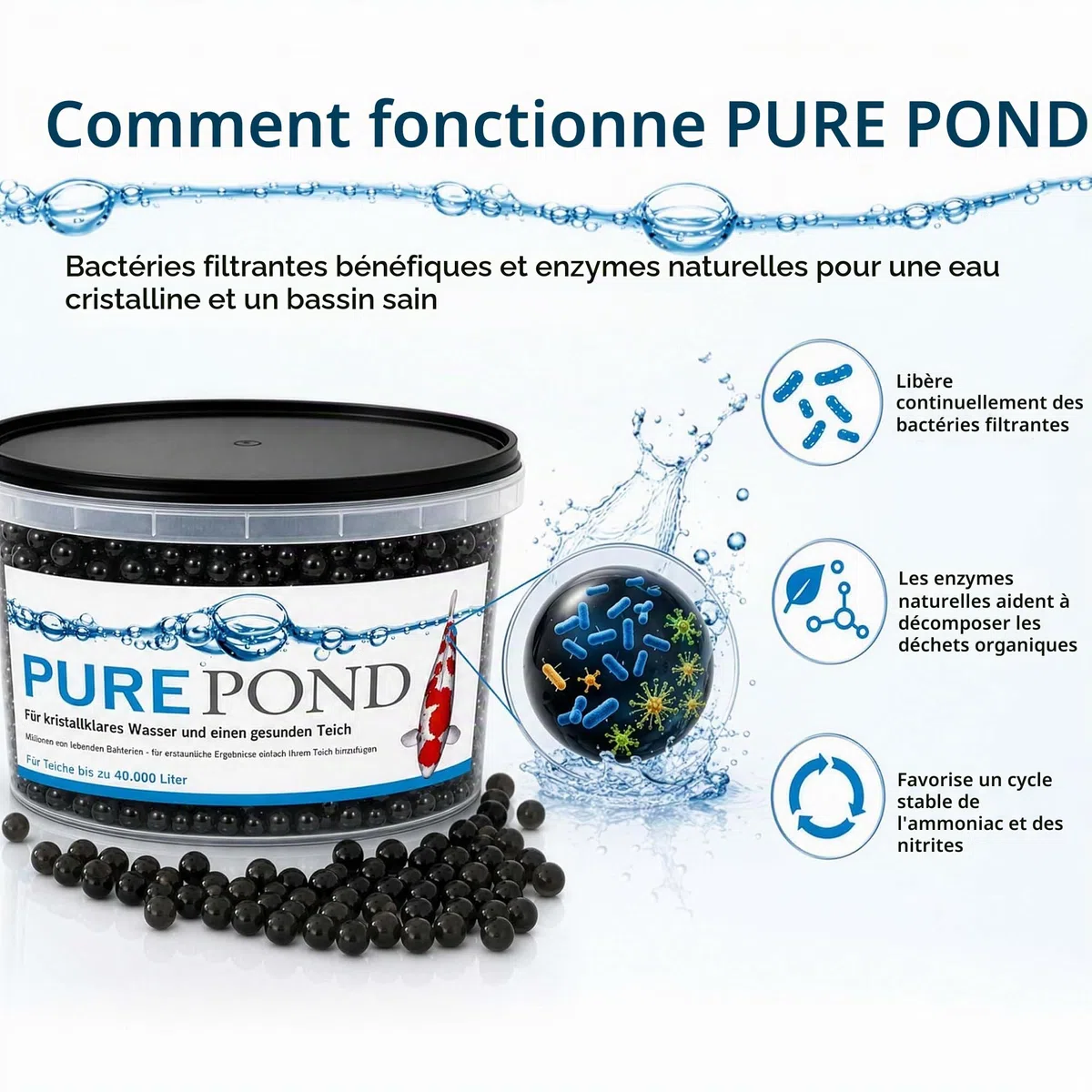 Evolution Aqua Pure Pond 2000 ML - pour 40000 litres - bactéries et enzymes - pour Filtre Eau Filtration Entretien Bassin Aquarium - régulation des valeurs Ammoniac et Nitrite - aquariophilie