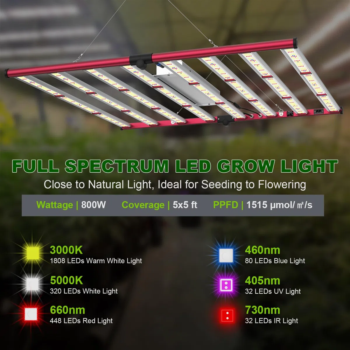 AGLEX 800W Lampes de Culture LED, Lampe Horticole Spectre Complet avec UV IR, Chaînage Pliable & Gradable, Lampe de Culture Style Barre pour Culture en Intérieur, Couverture Centrale 6x6ft