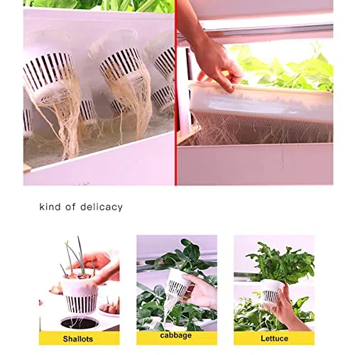 Kit de culture hydroponique à 3 niveaux avec 90 espaces de plantation pour la maison et le bureau, idéal pour la culture des légumes