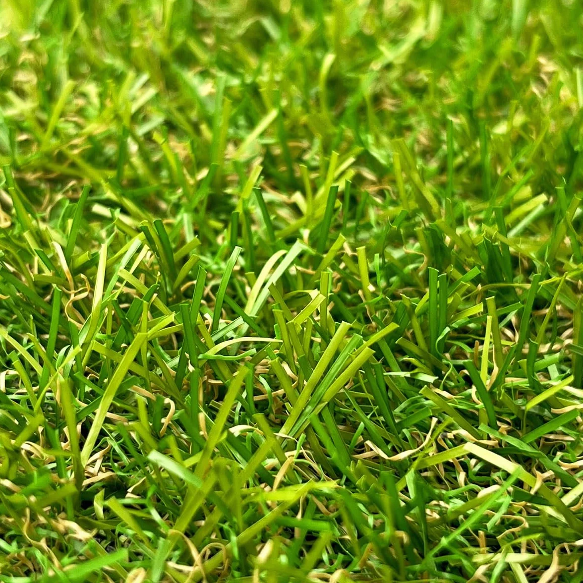Gazon Synthétique 22mm en 2m de large (2m de large x 5m de long)