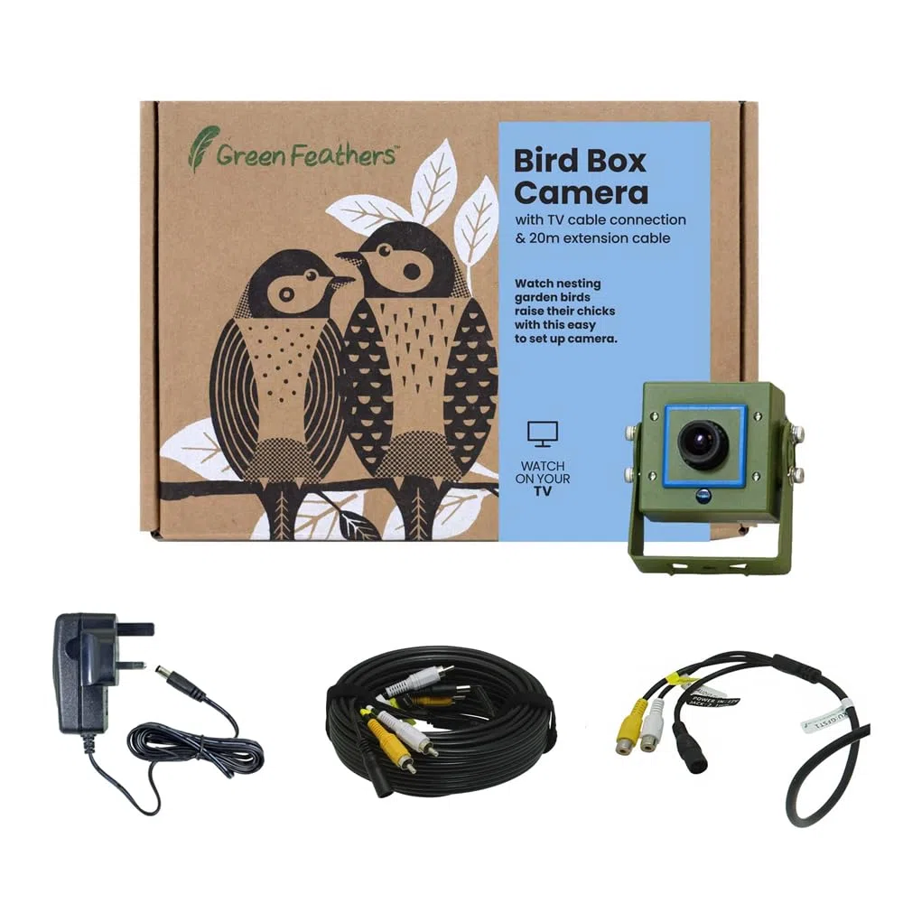 Green Feathers Kit caméra pour Oiseaux