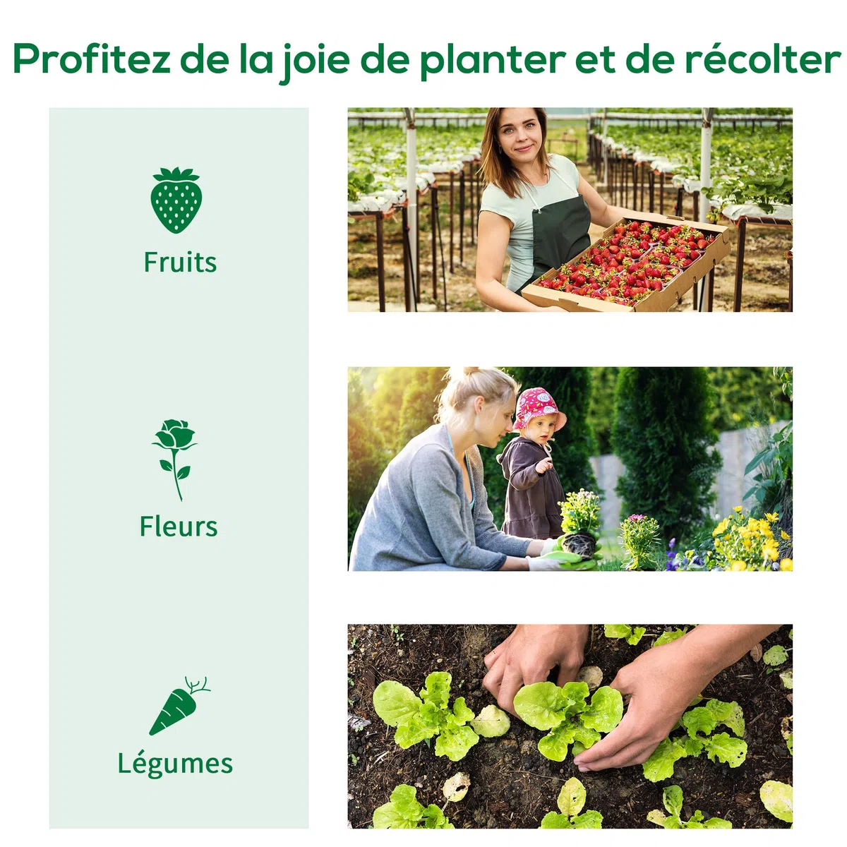 Outsunny Serre de Jardin Tunnel Serre à Tomates 8 m² 4L x 2l x 2,05H m Vert | Châssis Tubulaire Renforcé, Double Porte Zippée, 6 Fenêtres Enroulables