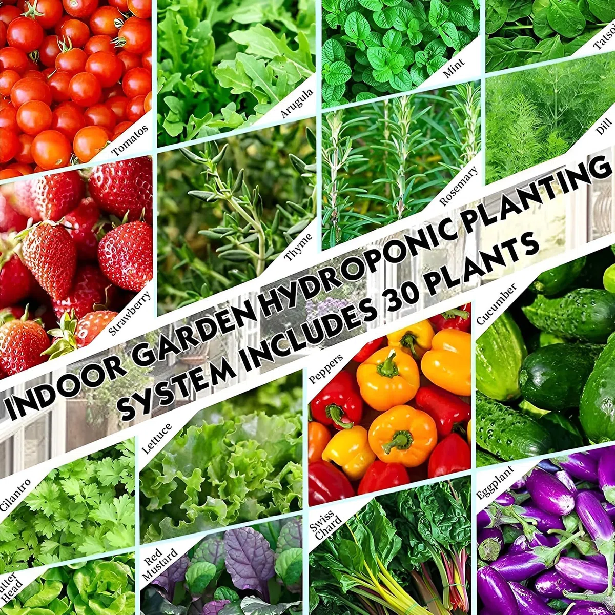 Système de culture hydroponique, kit de jardin sans terre pour l'intérieur et l'extérieur, parfait pour cultiver de la laitue, des herbes et des légumes avec 25 trous de plantation