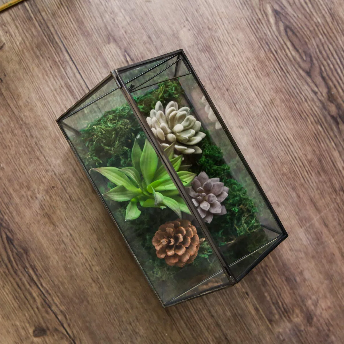 WONSUN Terrarium géométrique en Verre en Forme de Maison avec Couvercle basculant pour Plantes succulentes, Plantes Grasses, Plantes aériennes (Noir)