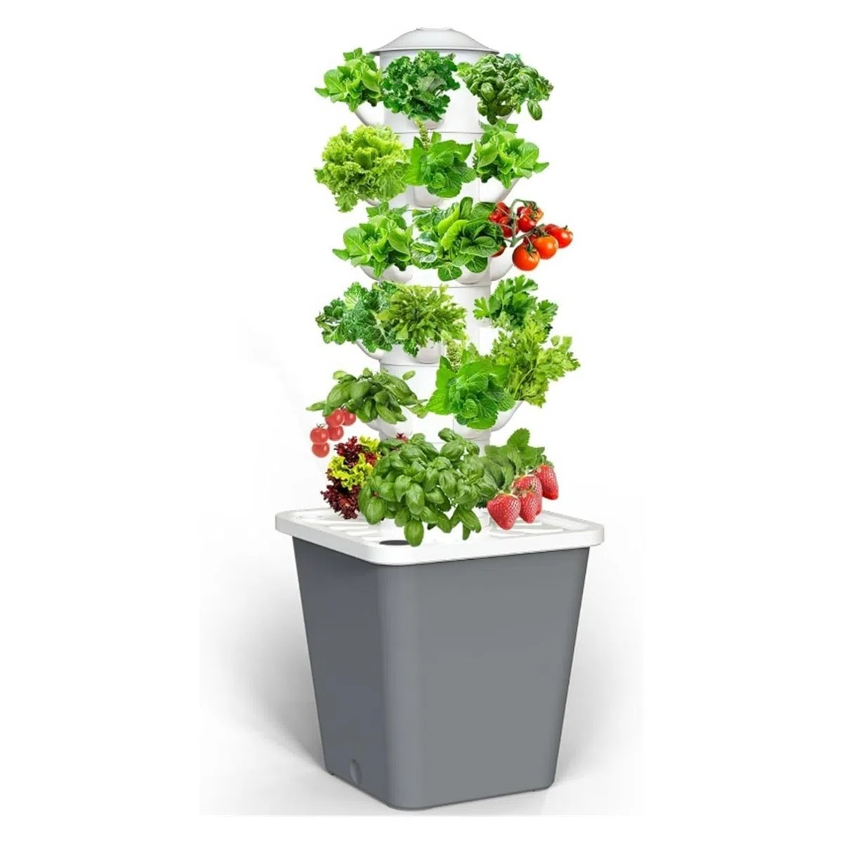 Système de Culture hydroponique, Tour d'intérieur for 30 Plantes avec système Pompe, kit Germination Légumes et Fruits