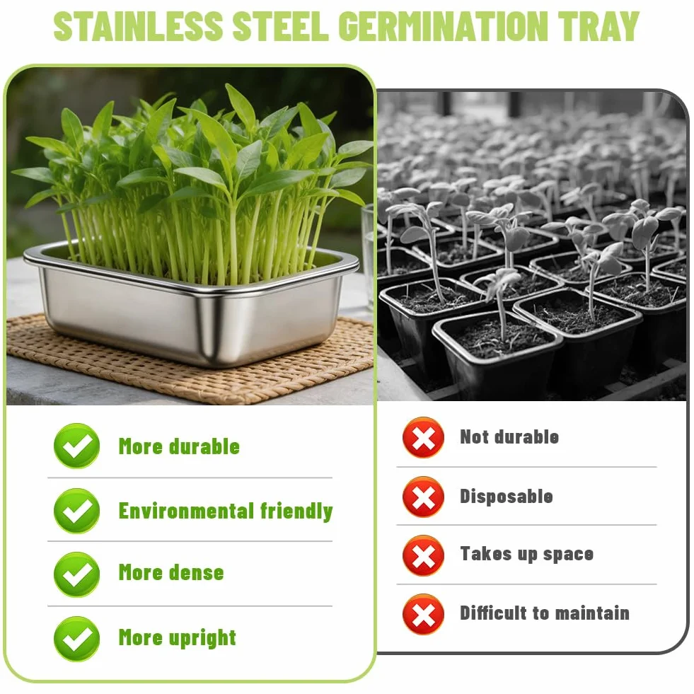 Lot de 2 Germoirs en Acier Inoxydable 26 x 19 cm, Plateau de Germination 2 en 1 pour Graines et Microgreens, Bac à Germes Réutilisable Passe au Lave-Vaisselle, Culture Facile à Domicile
