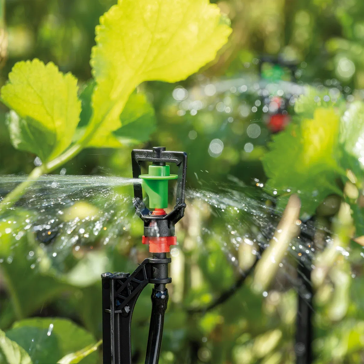 Esotec Solaire Système D'Hyrrigation Watersprinkle Professional - Automatique Irrigation Sur Jusqu'À 6 Wasser-Sprinkler - Simple Et Individuel - pour Jardin Et Plantes Conteneurisées (101121)