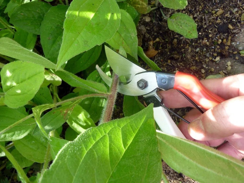 Okatsune 103 – Sécateur japonais avec lames ultra-tranchantes, conception robuste et coupe précise pour les fleurs, les branches, les vignes et les arbres fruitiers