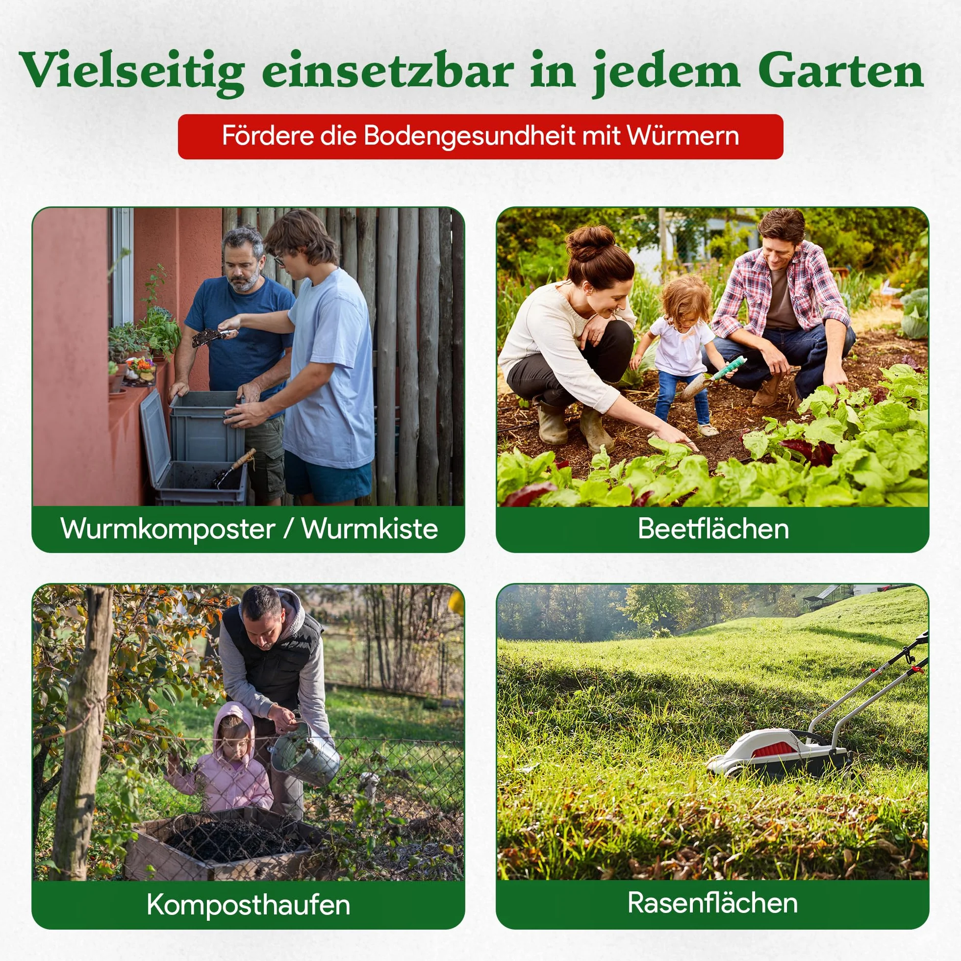 1 kg de vers de compost (min. 1000 pièces) | Vers de terre, mélange Eisenia vivant pour compost, jardin, vermicomposteur, boîte à vers, plate-bande surélevée