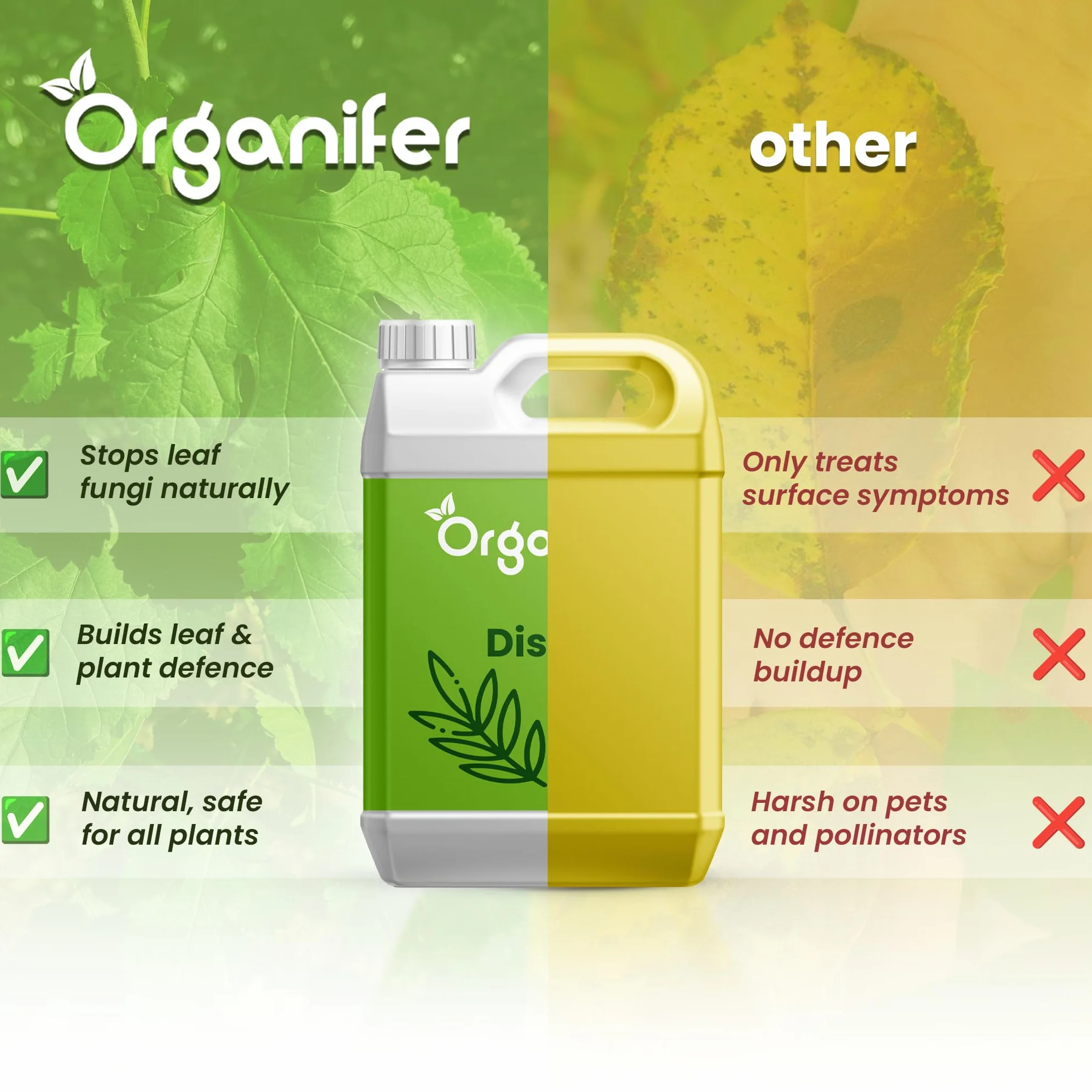 Concentré Pour Feuilles De Plantes – Maladies - 1 Litre - 1000 M2 - Catégorie Biostimulant – Pour Plantes D'Intérieur – Pour Jardin, Rosiers, Fleurs, Légumes, Fruits - Organifer