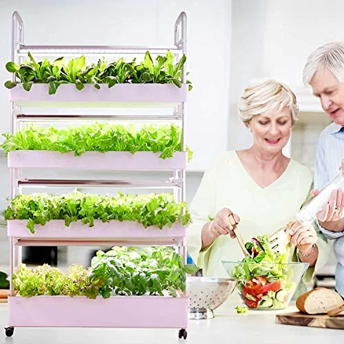Système de culture hydroponique – Équipement de jardin d'intérieur automatisé à DEL pour l'agriculture verticale, multi-couches pour la culture sans sol