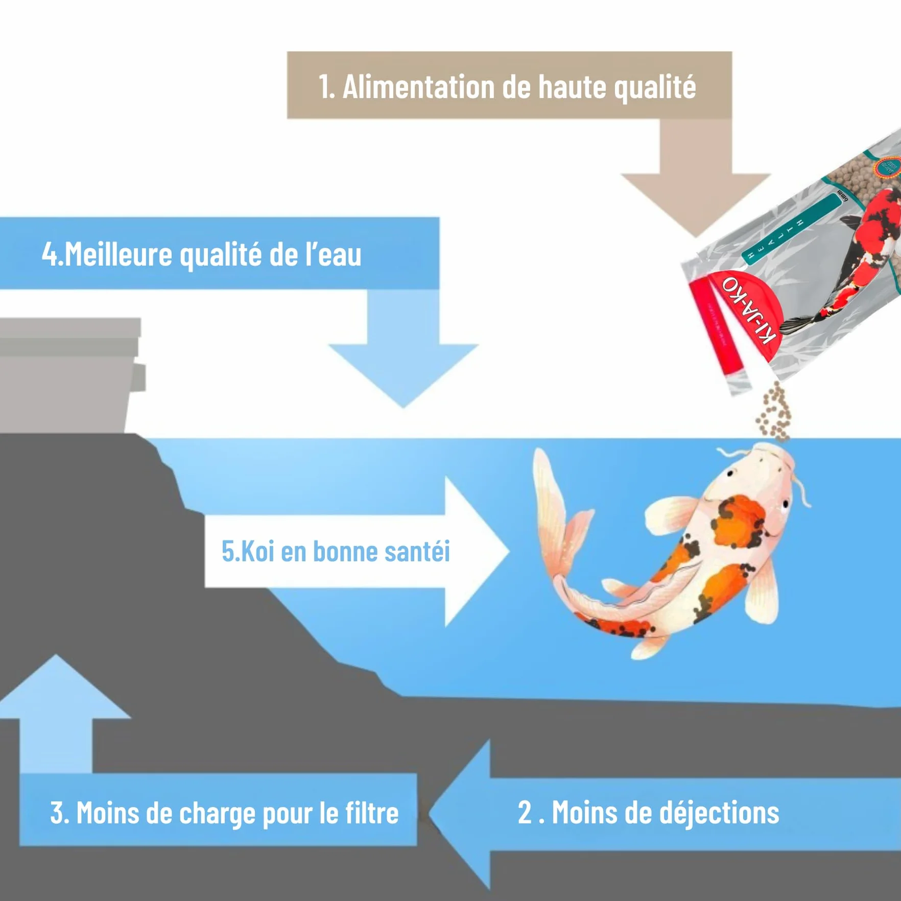 Health Koi Nourriture pour poissons koï 3 kg / 6 mm. Granulés pour une bonne digestion des poissons koï avec Actigen pour soutenir le système immunitaire et Forplus (algues riches en oméga-3)