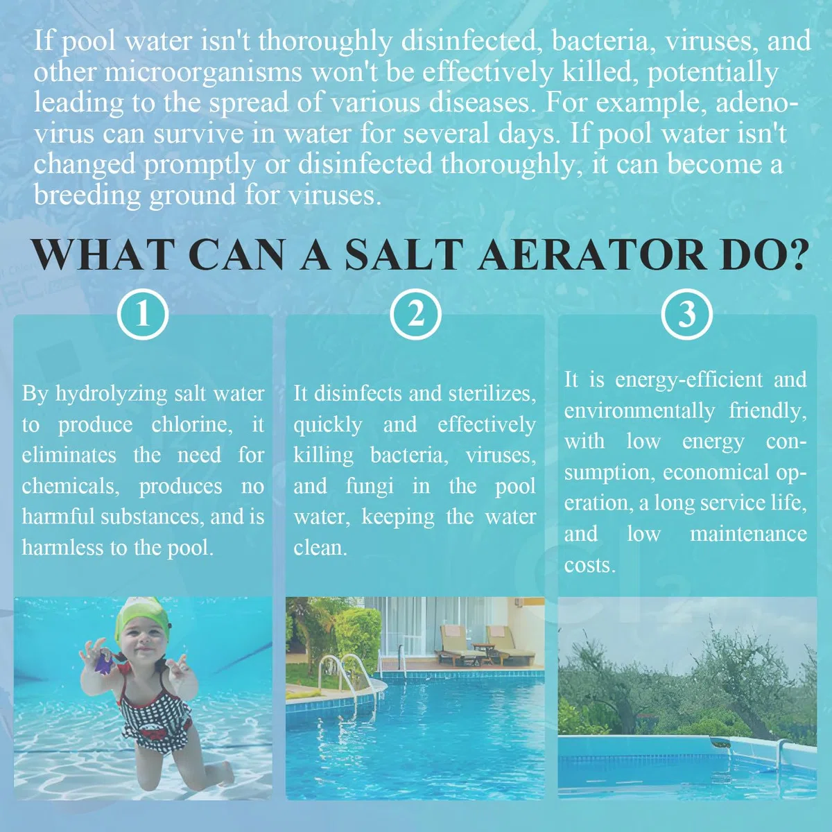 Générateur de chlore salé pour piscine enterrée, système automatique de chloration d'eau salée avec affichage de la salinité, sortie 12 g/h, facile à utiliser