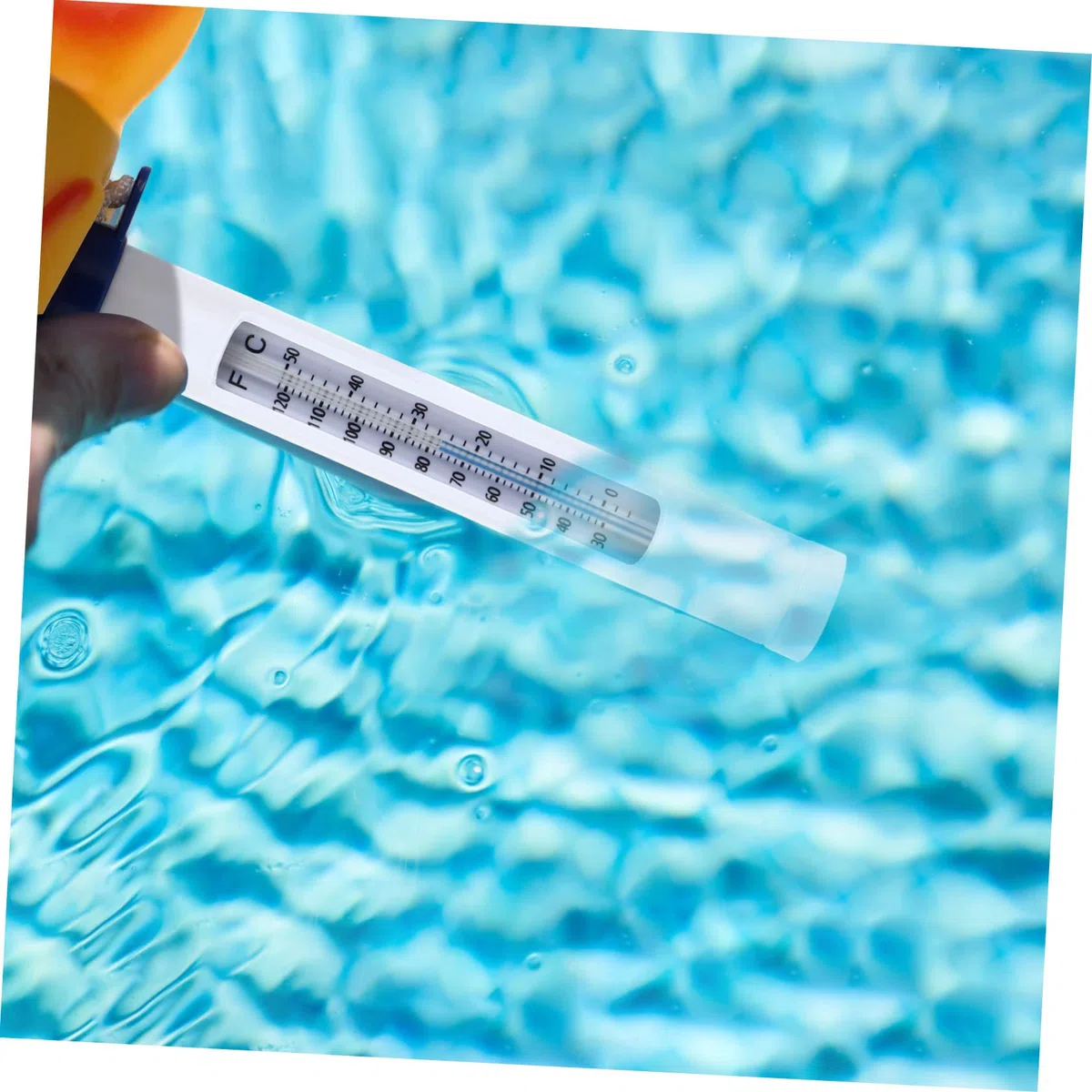 BESPORTBLE 3 Pièces Thermomètre jouet de bain étang jouets d'animaux jouets d'extérieur jouet d'extérieur avec échelle poisson rouge flotteur en plastique bassin piscine